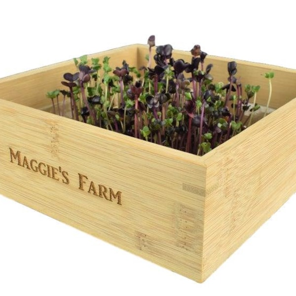 Microgreens kit with Personalized bamboo box, DIY soil free everything you need indoor garden, custom veggie planter, Valentine's Day gift