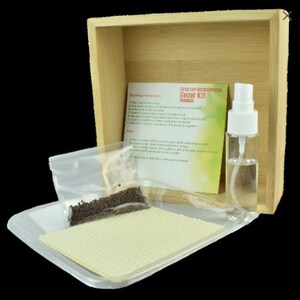 May include: A desktop microgreens grow kit in a wooden box with a clear spray bottle, a plastic tray, and a small bag of seeds. The kit includes instructions for growing microgreens.