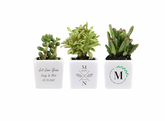 Personalized Live Succulent Gift, Custoplant Gift, Monagram