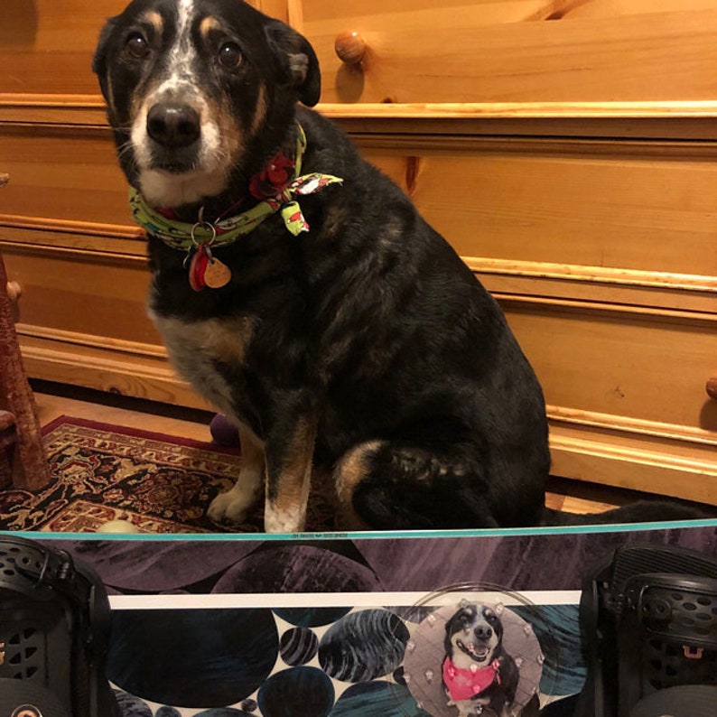 Personalized Stomp Pad Custom Stomp Pad Snowboard Stomp Pad Etsy