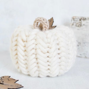 Herringbone Crochet Pumpkin PDF Pattern