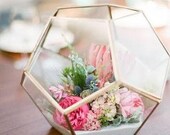 Glass Hexagon Terrarium