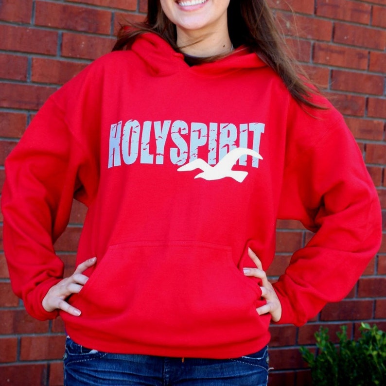 hollister hooded sweatshirt