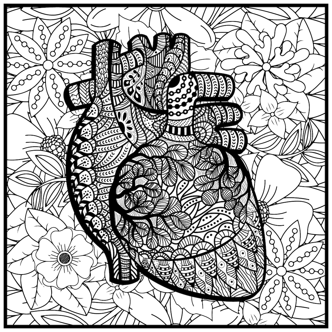Anatomical Heart Coloring Poster, Huge Coloring Poster, Nursing ...