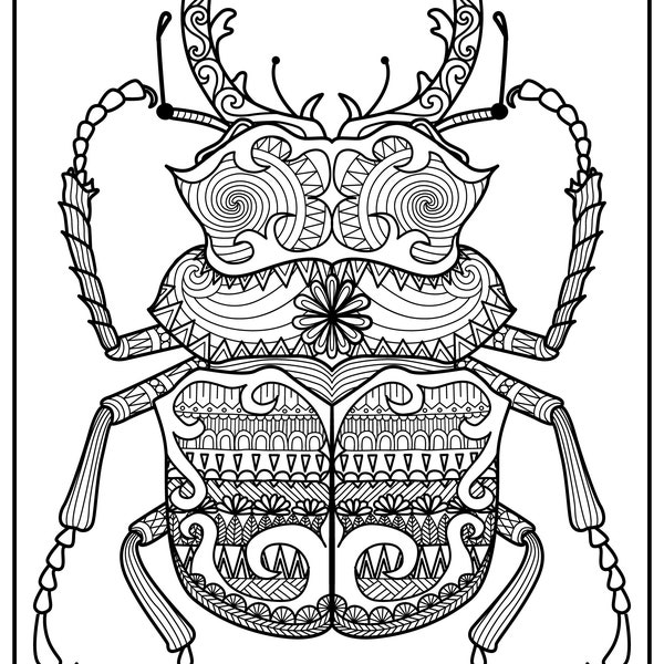 Beetle Coloring Sheet - Etsy