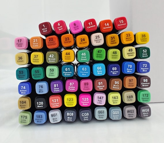 Alcohol Markers 100 Colors Dual Tip Art Markers For
