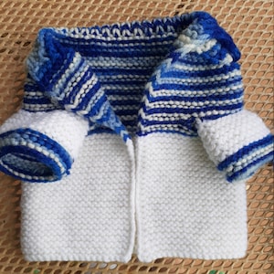 Small dog sweater-Dog Clothing-Pet sweater-Puppy Sweater-Small dog coat-Pet coat-Knitting dog cover