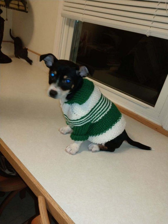 dog sweaters small dogs