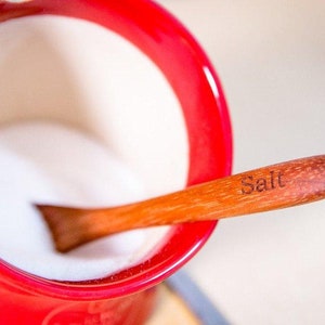 Puede incluir: Un cuenco de cer&aacute;mica rojo lleno de sal blanca y una cuchara de madera con la etiqueta "Sal" apoyada en el borde.