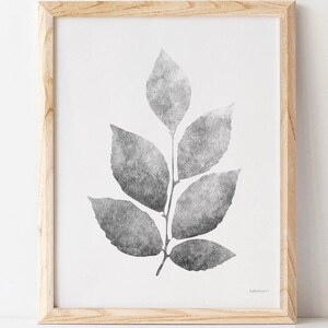 Botanical Set of 3 Prints Black and White Bathroom Print Set | Etsy