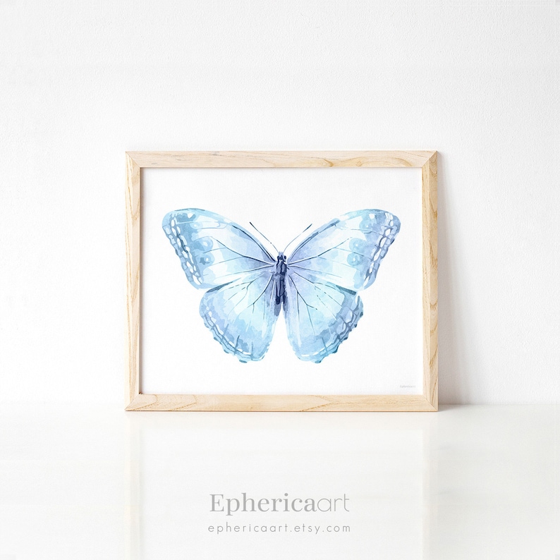 Op de afbeelding: Een ingelijst aquarel van een vlinder met lichtblauwe en witte vleugels. De vlinder is gecentreerd in de lijst en toont gedetailleerde vleugelpatronen en een donkerblauw lichaam. Het kunstwerk zit in een lijst van lichtgekleurd hout.