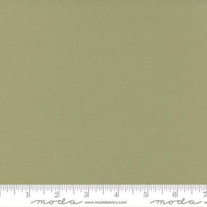 Bella Solids in Sage #35 by Moda