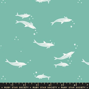 Florida Volume 2 by Sarah Watts for Ruby Star Society - Dolphins in Aqua