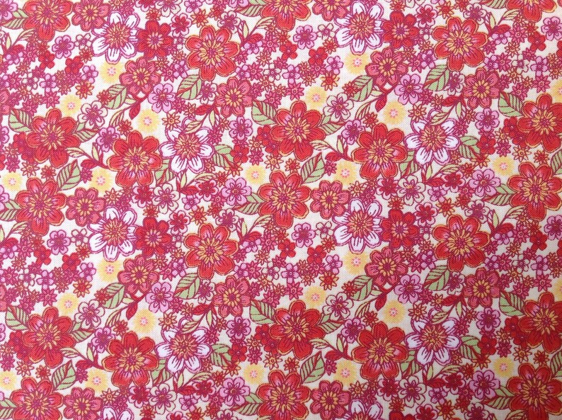 Blossoms in Coral from Garden Delights II by Gray Sky Studio for In the Beginning Fabrics 5GSF-1 image 1