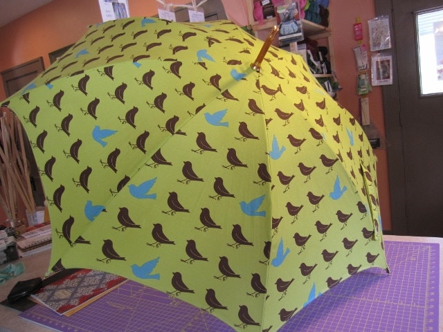 Umbrella Frame