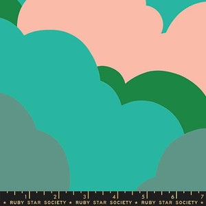 May include: Fabric with a colorful cloud pattern in teal, pink, green, and gray. The design features overlapping, rounded shapes reminiscent of clouds. The bottom of the fabric has a black border with the text "RUBY STAR SOCIETY".