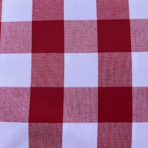 Carolina Gingham 1 inch in Red by Robert Kaufman