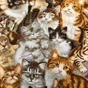 Packed Cats by Elizabeth Studios