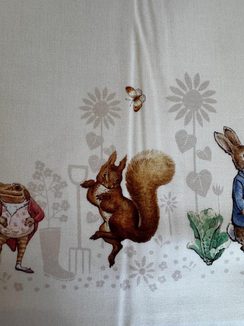 Peter Rabbit Border Print in Cloud by Riley Blake Fabrics - Etsy