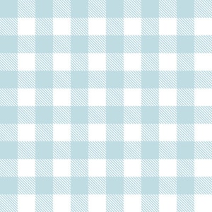 Comfy Flannel from AE Nathan Blue White Buffalo Check