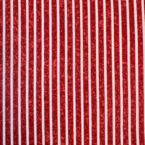 Wander-Lane II Red Stripe by Nancy Halvorsen for Benartex Fabrics Pathways Peppermint