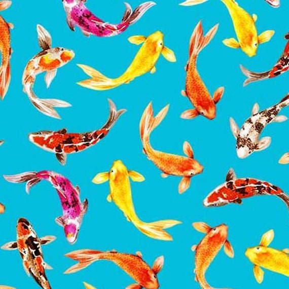 Premium Vector  Koi fish illustration japanese carp and colorful oriental  koi in asia set of chinese goldfish and traditional fishery isolated  background.