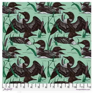 Loons from Birds of a Feather by Rachel Hauer for Free Spirit Fabrics in Oasis