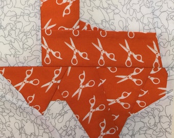 Paper Pieced Pattern of the State of Texas by Judy Gauthier