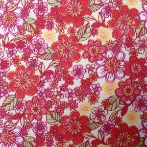 Blossoms in Coral from Garden Delights II by Gray Sky Studio for In the Beginning Fabrics 5GSF-1 image 2