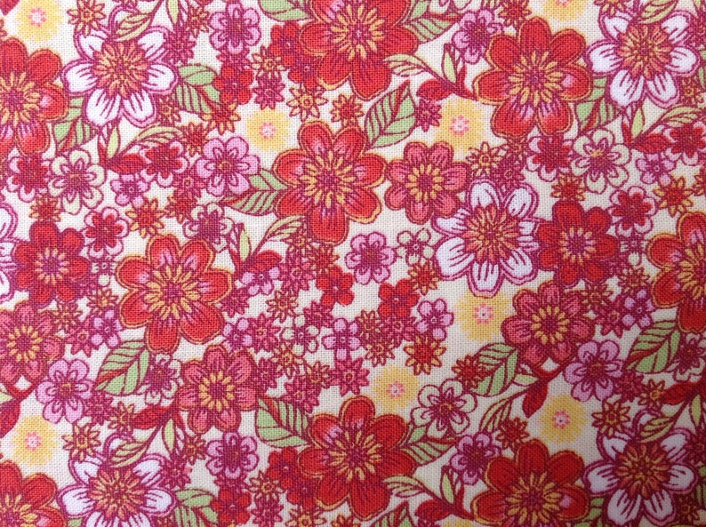 Blossoms in Coral from Garden Delights II by Gray Sky Studio for In the Beginning Fabrics 5GSF-1 image 2