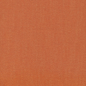 Glimmer Solid  Copper #206408 by Cloud 9 Fabrics with Gold Metallic