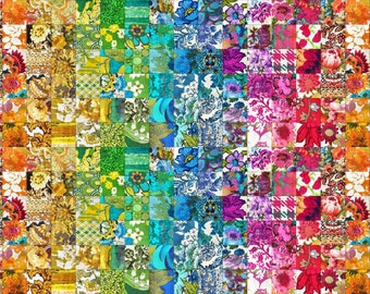 Vintage Soul *** 3/4+ yard remnant* by Cathe Holden for Moda Fabrics in Rainbow
