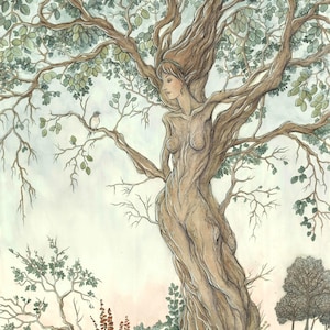 Dryad ORIGINAL