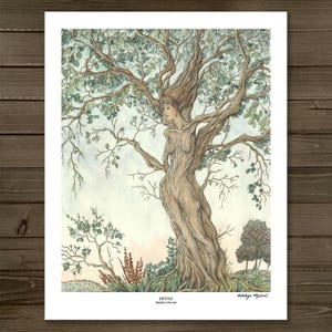 Dryad - 11x14 Art Print