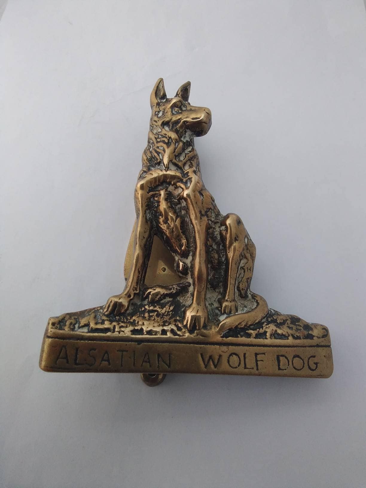 Alsatian wolf sales