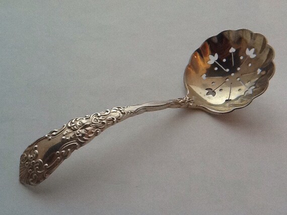 silver sugar sifter spoon