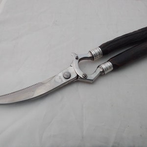 Vintage horn handled Poultry Shears with Sterling silver ferrules