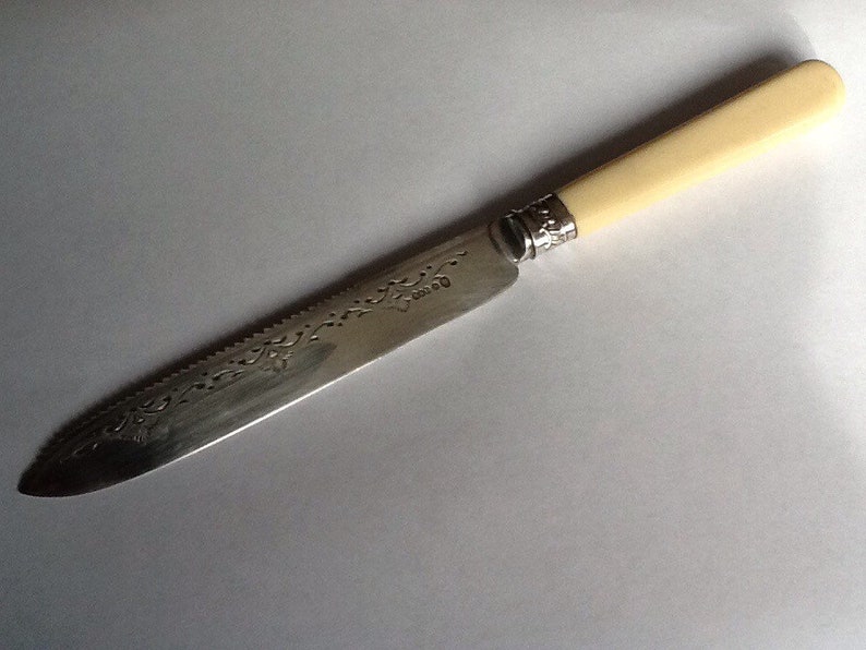 Vintage Decorative Epns Celluloid Handled Wedding Cake Knife Etsy