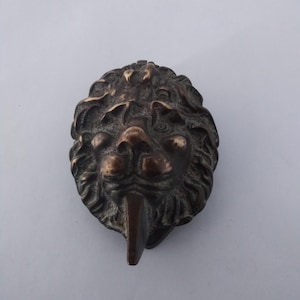 May include: Bronze lion head door knocker with detailed mane and facial features. The knocker has a dark, aged finish, and a rectangular striker plate. The lion's mouth is open, and the overall design is classical.