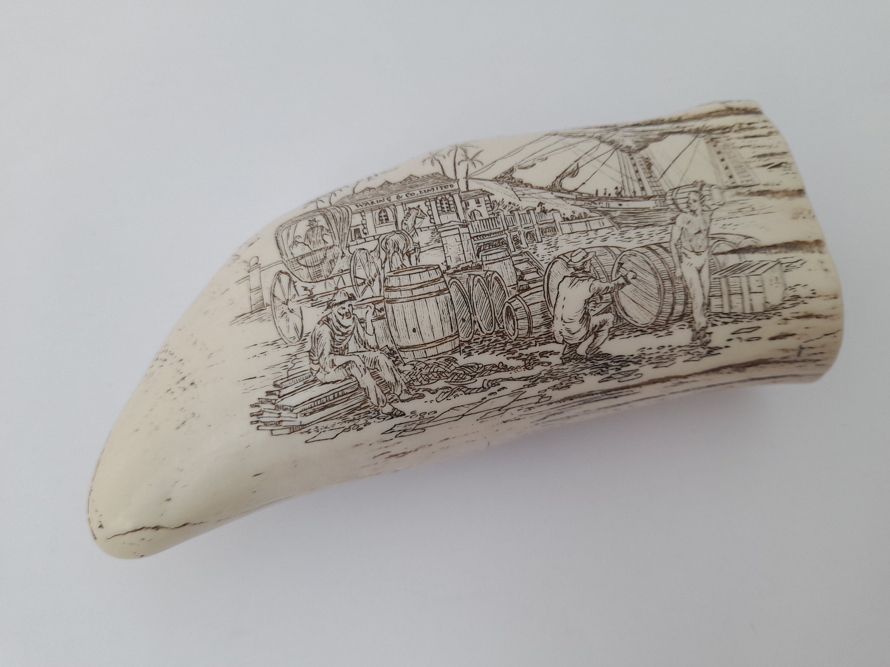 スクリムショー 鯨歯 クジラ 牙 彫刻 スクリムショー 鯨歯 クジラ 牙