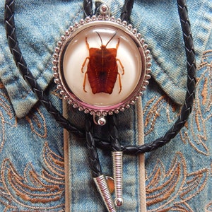 May include: A bolo tie with a silver-toned pendant featuring a preserved insect encased in clear resin. The insect is brown and has a distinct pattern on its wings. The bolo tie is made of black leather cord.
