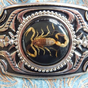 May include: A silver belt buckle with a black background and a round, clear resin insert featuring a preserved scorpion. The buckle has a decorative design with silver floral accents.