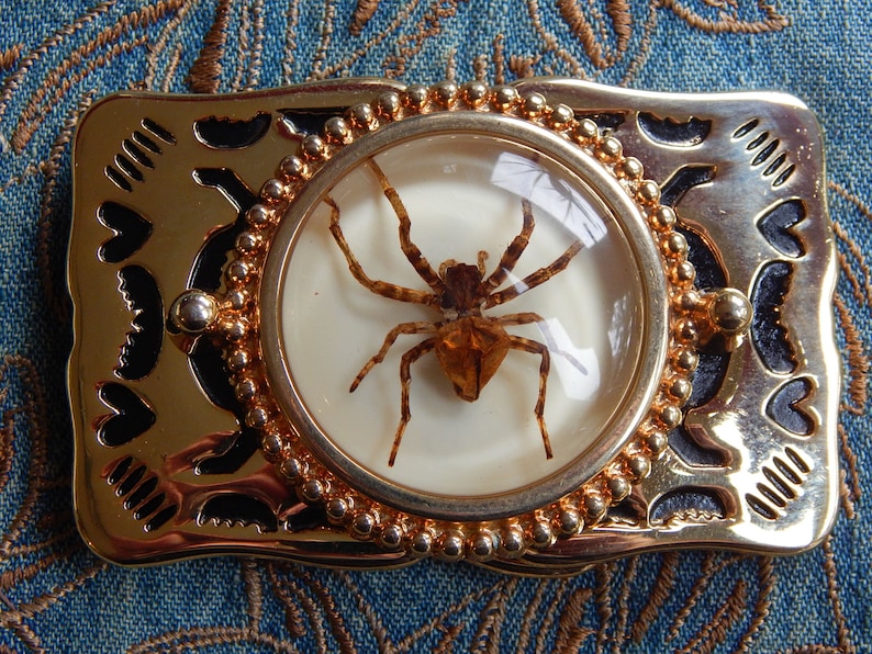 New Ghost Spider Belt Buckle Gold Coloured Metal Ladies Men Western Goth image 1