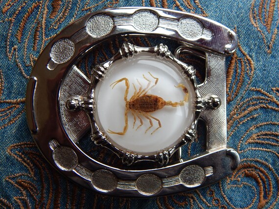 COWBOY,WESTERN GOTH NEW SCORPION BLACK BELT BUCKLE,SILVER METAL HORSESHOE