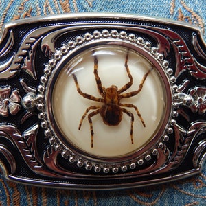 Spider Belt Buckle - Etsy display picture 1
