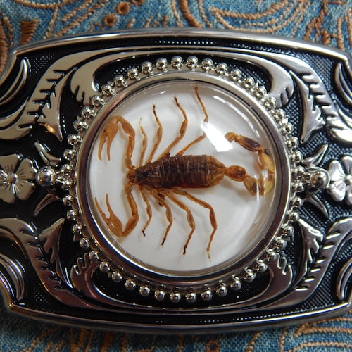 Scorpion Belt Buckle: Silver & Black Western Goth Style - Etsy