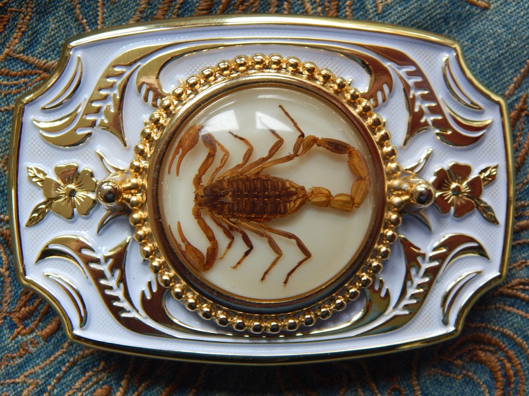 Buy New Exclusive Golden Scorpion Gold Black Colour Metal Belt Buckle  Ladies Men Goth Online in India
