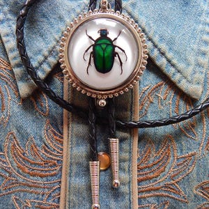 May include: A bolo tie with a black leather cord and a silver pendant featuring a green beetle encased in glass.