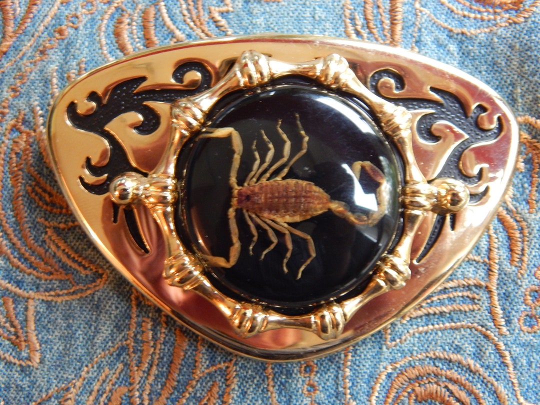Buy New Exclusive Scorpion Belt Buckle Gold Coloured Metal Western Goth  Ladies Men Online in India