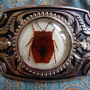 Può includere: Una fibbia per cintura rettangolare in metallo con una cornice color argento lucido, dettagli neri incavati e accenti floreali. Una finestra centrale circolare contiene un insetto marrone a forma di scudo conservato in resina.